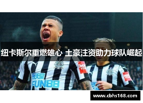 纽卡斯尔重燃雄心 土豪注资助力球队崛起